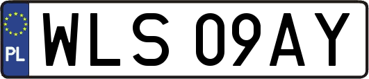 WLS09AY