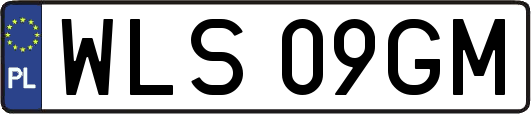 WLS09GM