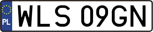 WLS09GN