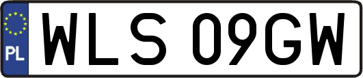 WLS09GW
