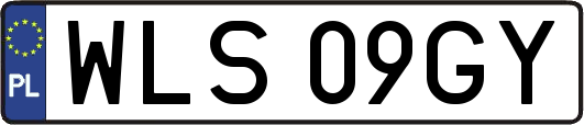 WLS09GY