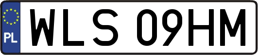 WLS09HM