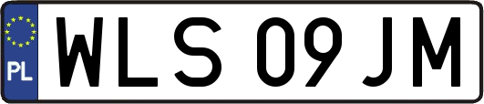 WLS09JM