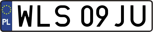 WLS09JU