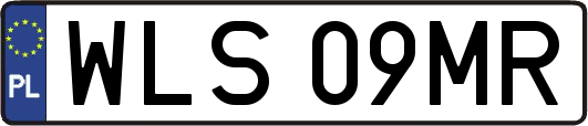 WLS09MR