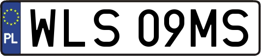 WLS09MS