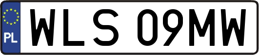 WLS09MW
