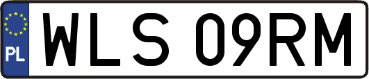 WLS09RM