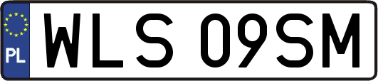 WLS09SM
