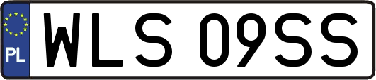 WLS09SS