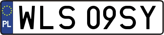 WLS09SY