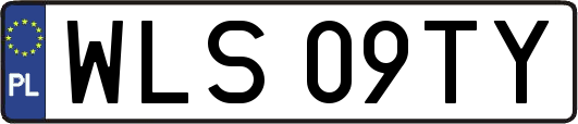 WLS09TY