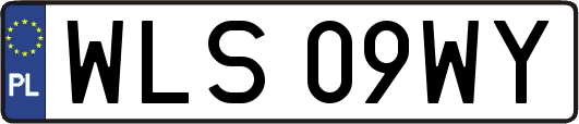 WLS09WY