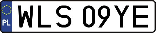 WLS09YE