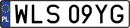 WLS09YG