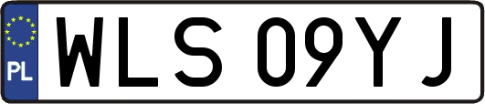 WLS09YJ