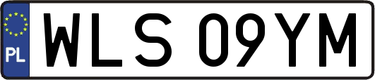 WLS09YM