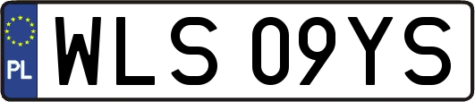 WLS09YS