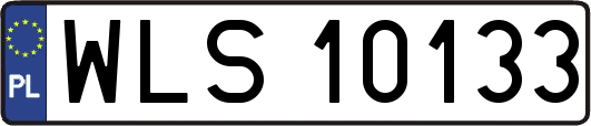 WLS10133