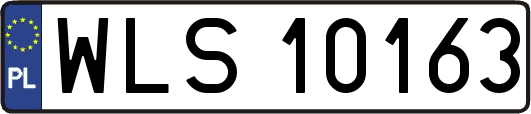 WLS10163