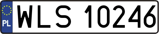 WLS10246