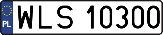 WLS10300