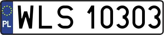 WLS10303