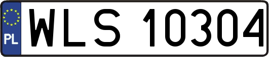 WLS10304
