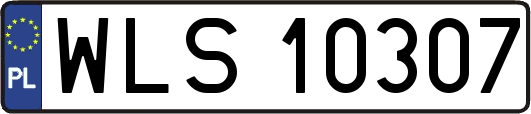 WLS10307