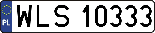 WLS10333