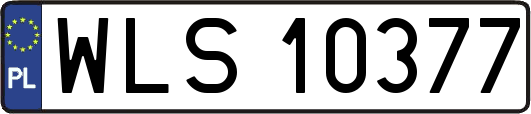 WLS10377