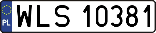 WLS10381