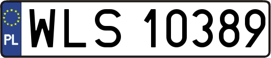 WLS10389
