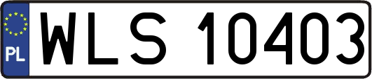 WLS10403