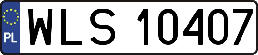 WLS10407