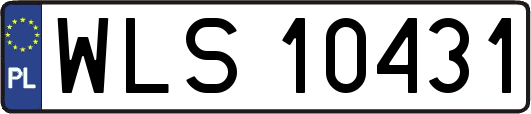 WLS10431
