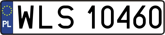 WLS10460
