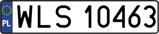 WLS10463