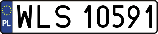 WLS10591