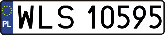 WLS10595