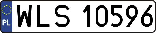 WLS10596