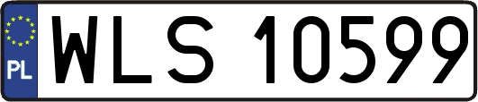 WLS10599