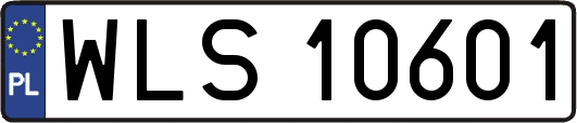 WLS10601