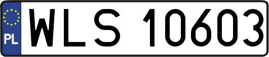 WLS10603