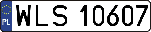 WLS10607