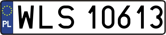 WLS10613