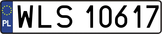WLS10617