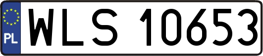 WLS10653