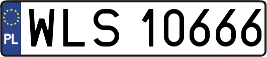 WLS10666