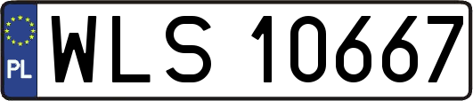 WLS10667